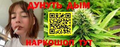 a pvp Камышлов