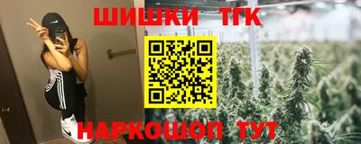 a pvp Камышлов