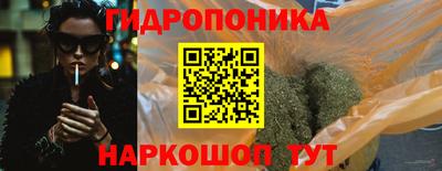 a pvp Камышлов