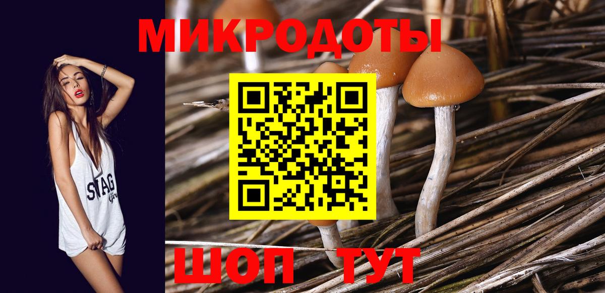 купить наркоту  Вход с VPN  Курчалой  Псилоцибиновые грибы Psilocybe  Галлюциногенные грибы мицелий 